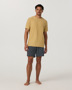 Banks Resort Short | Ink Bayside Stripe