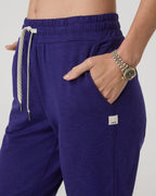 Performance Jogger | Stellar Sky Heather